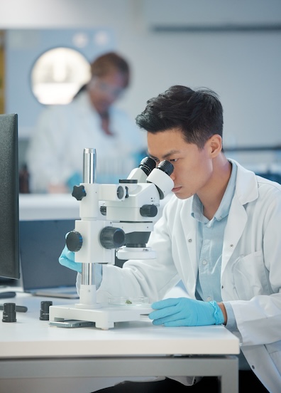 WesternU student research interns working in the lab