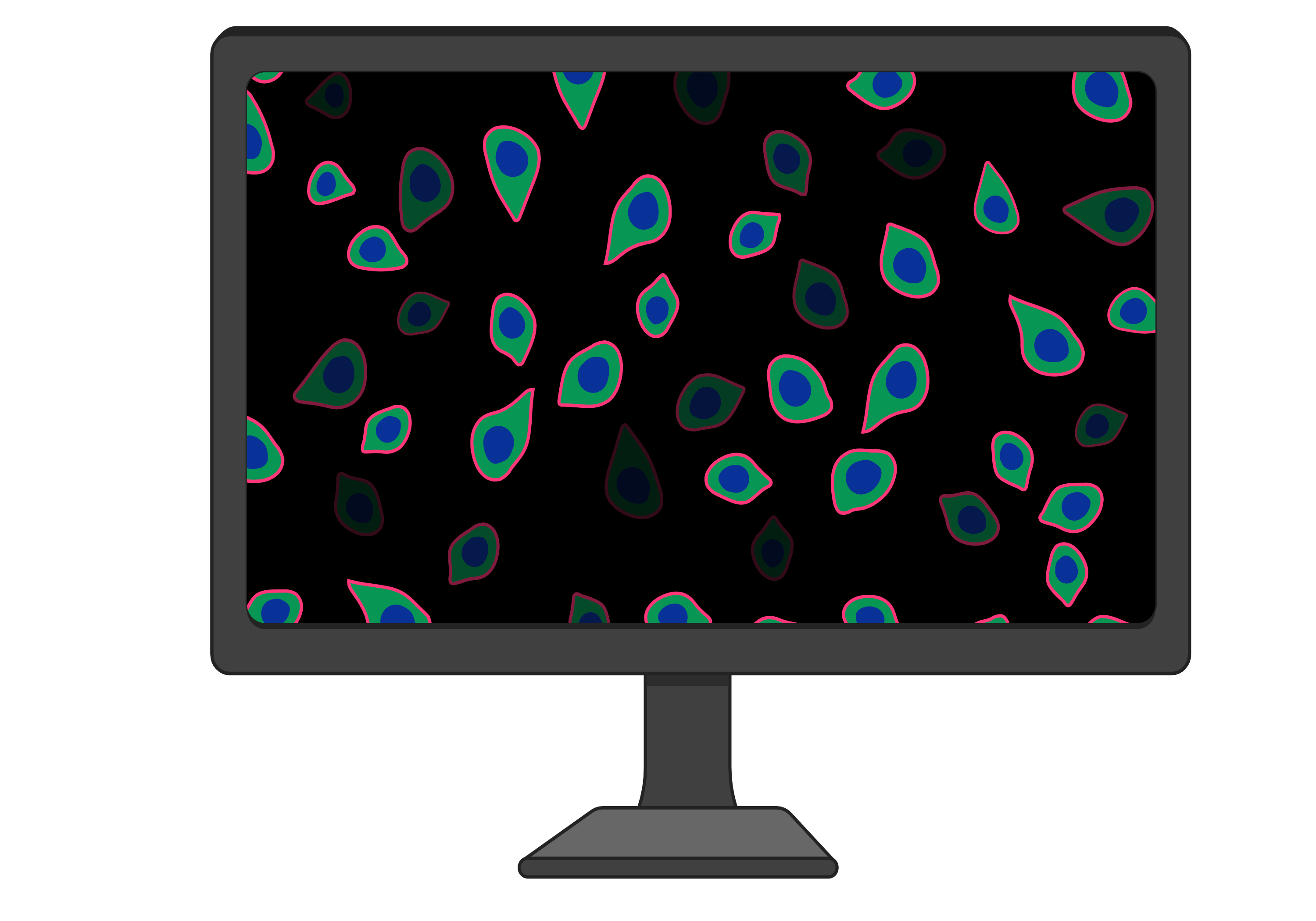 software