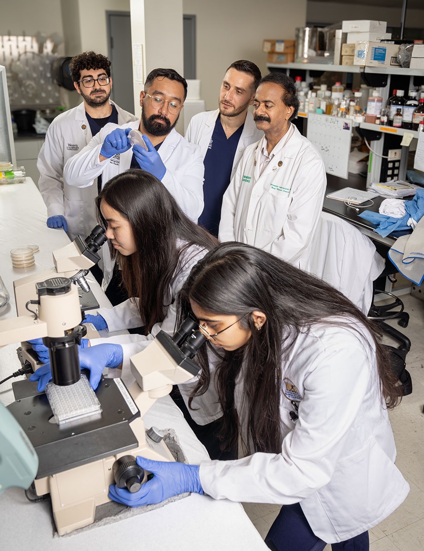 Medical students in the Venketaraman lab.