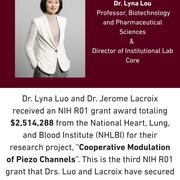 dr.luo