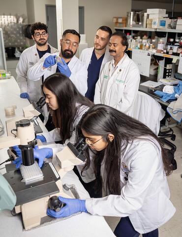 Medical students in the Venketaraman lab.