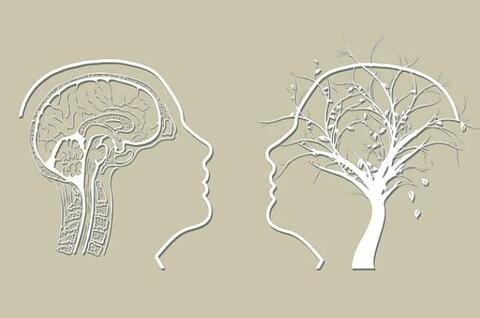 AD brains