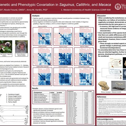 poster presented by Patrick Forcier and Nicole Freund at the 2024 COMP-NW Research Symposium
