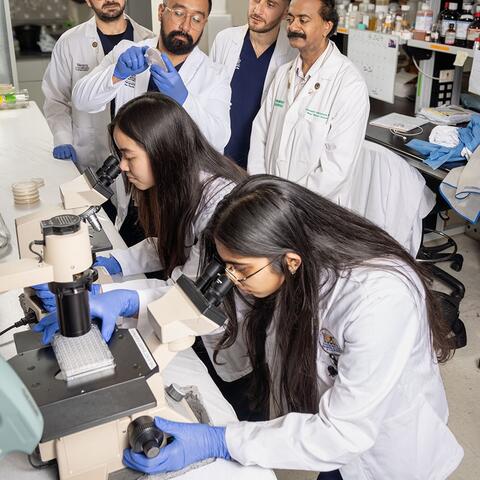 Medical students in the Venketaraman lab.
