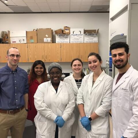 old lab members