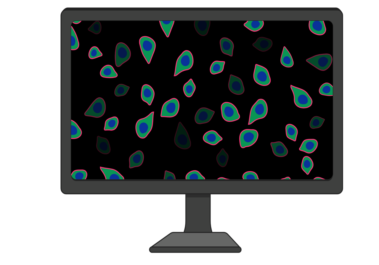 software