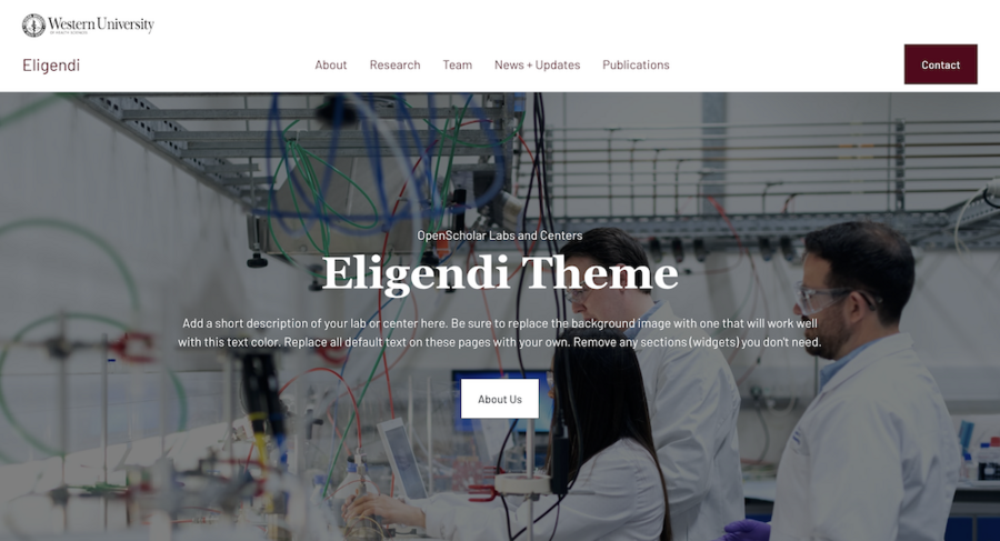 Western U Eligendi screenshot